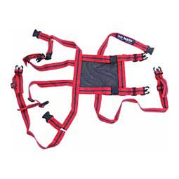 No Mate Teaser Harness for Rams  Rurtec
